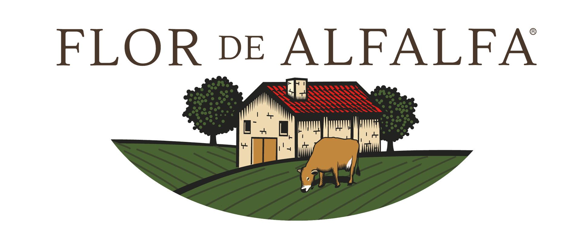 Flor de alfalfa